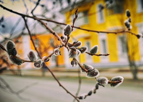 Главный синоптик Свердловской области рассказала, когда наступит весна