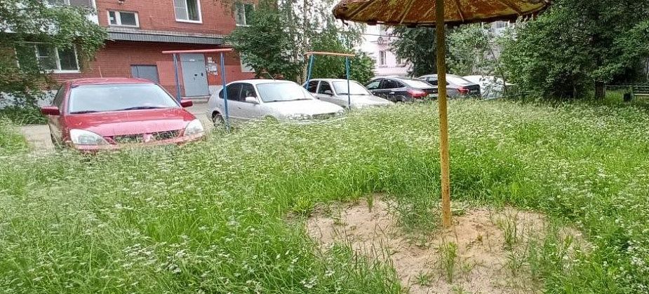 "Вышли поиграть, а там - сплошной камень". Родители жалуются на отсутствие песка в песочницах
