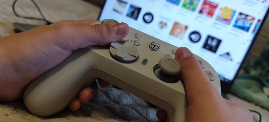 «Думал, выиграю и обрадую всех». 12-летний поклонник игры Roblox перевел мошенникам 111 тысяч рублей