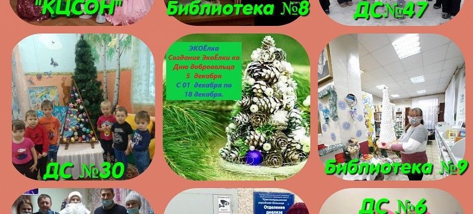 Подростковые клубы подарили восьми учреждениям города экоелки