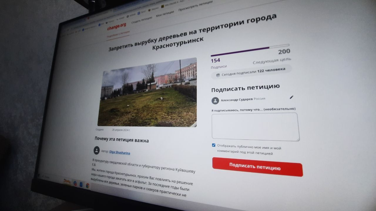 Автор петиции о запрете вырубки деревьев в Краснотурьинске рассказала, почему создала обращение