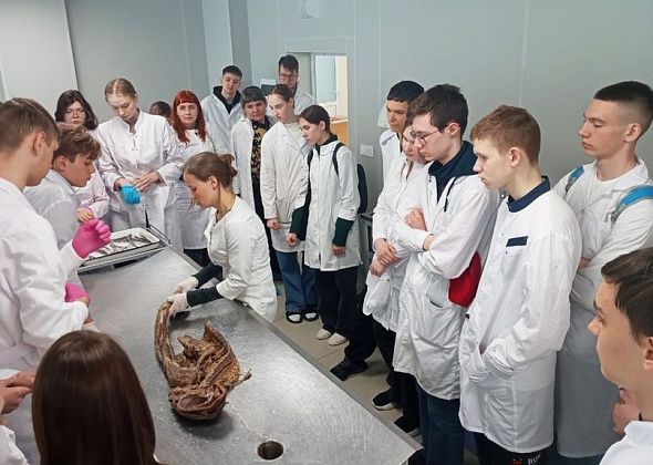 Школьники из Краснотурьинска и Карпинска побывали на экскурсии в медуниверситете
